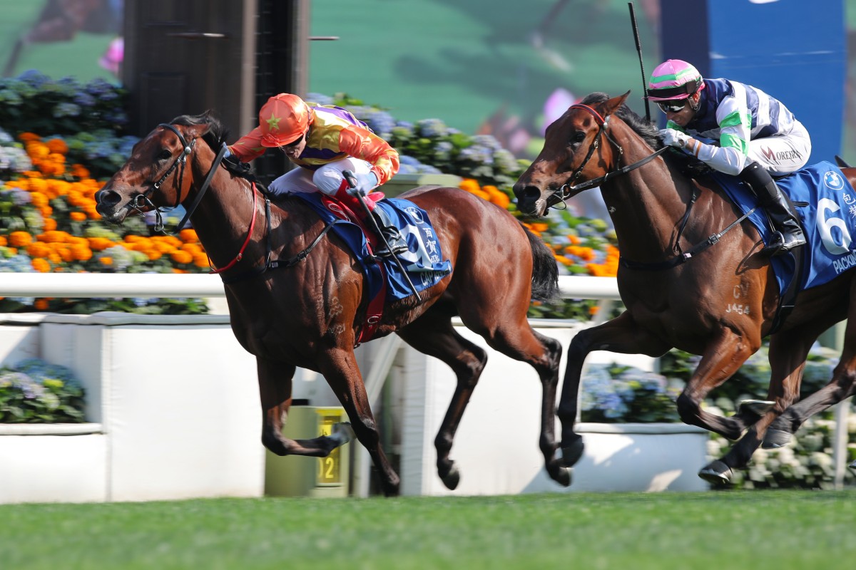 Craig Williams boots home Cap Ferrat in Sunday’s Hong Kong Derby (2,000m) at Sha Tin. Photos: Kenneth Chan