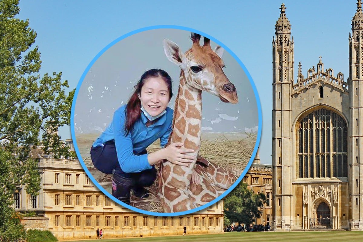 A Chinese woman with a degree from the University of Cambridge has declined a biotech job to become a zookeeper in Shanghai. Photo: SCMP composite/Shutterstock/ The Paper