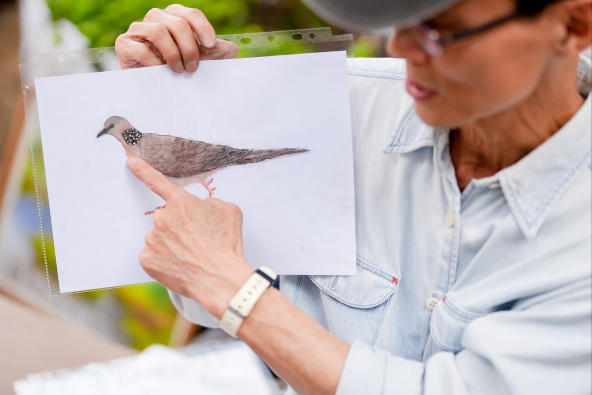 David Chui’s workshops are part of “Art for Renewal: Environmental Conservation in Action”, which is run by the Hong Kong Arts Centre and sponsored by the Urban Renewal Fund. Photo: Handout