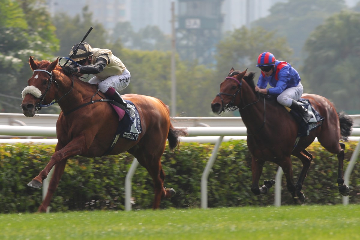 Dubai Honour chases home Giavellotto in December’s Hong Kong Vase at Sha Tin. Photos: Kenneth Chan