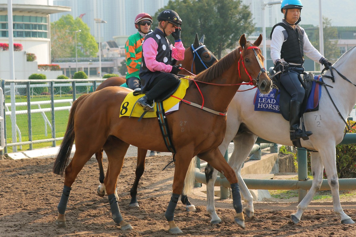 Andrea Atzeni on board Beauty Eternal at the Sha Tin trials. Photos: Kenneth Chan