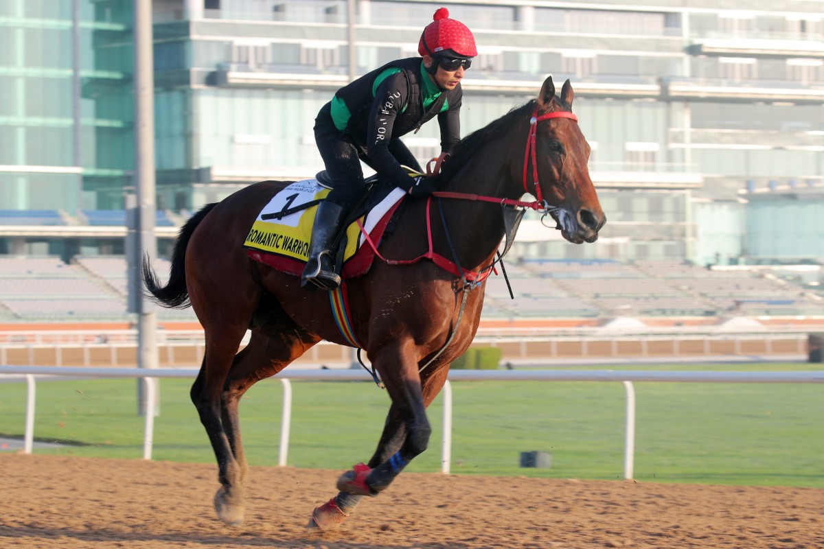 Romantic Warrior works at Meydan on Tuesday morning. Photos: Kenneth Chan