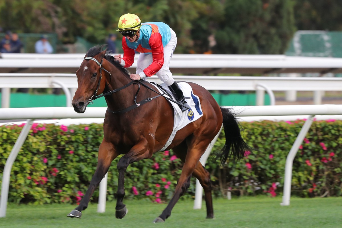 The Everest favourite Ka Ying Rising salutes at Sha Tin last Sunday. Photos: Kenneth Chan