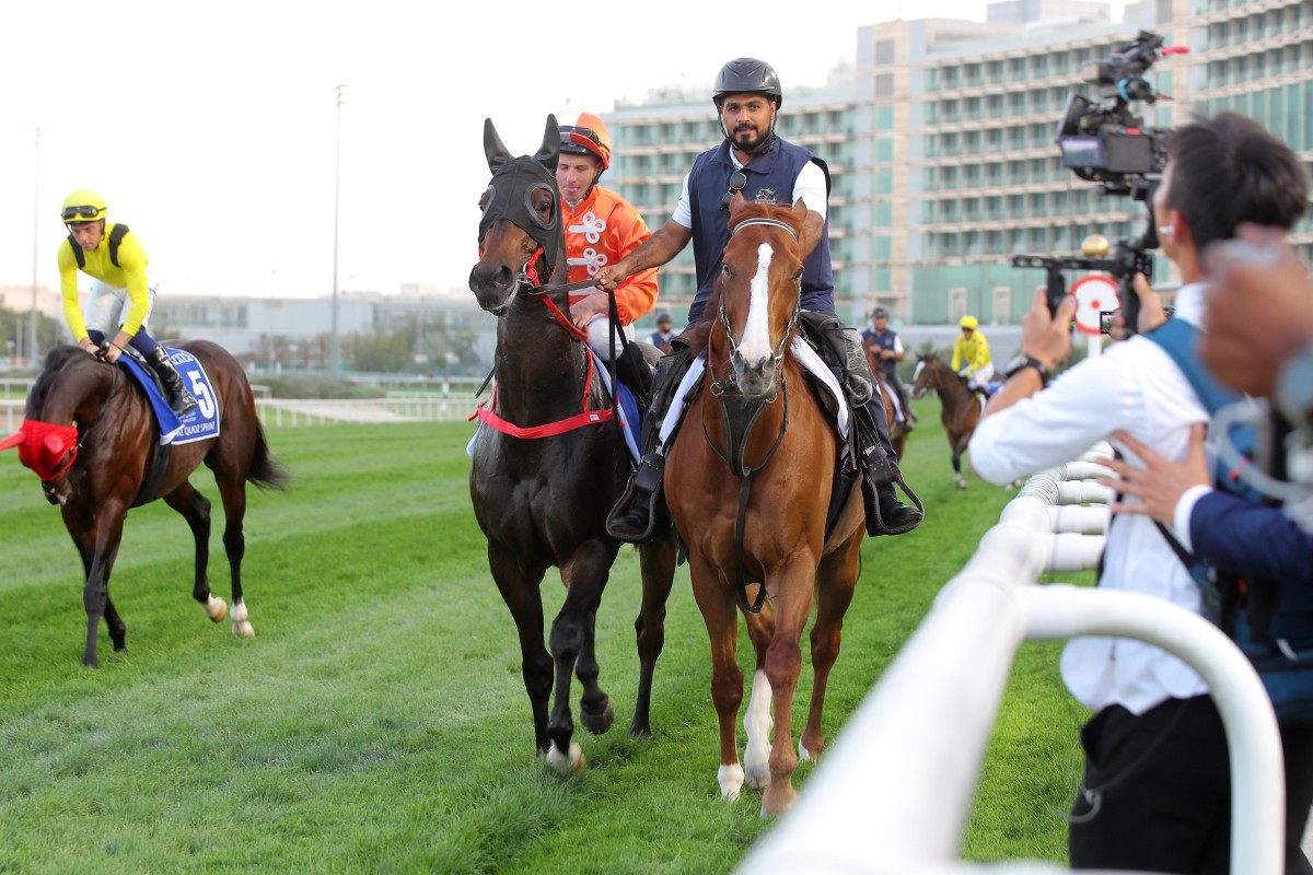 Howdeepisyourlove heads out to race under James McDonald in Dubai on Saturday. Photos: Kenneth Chan