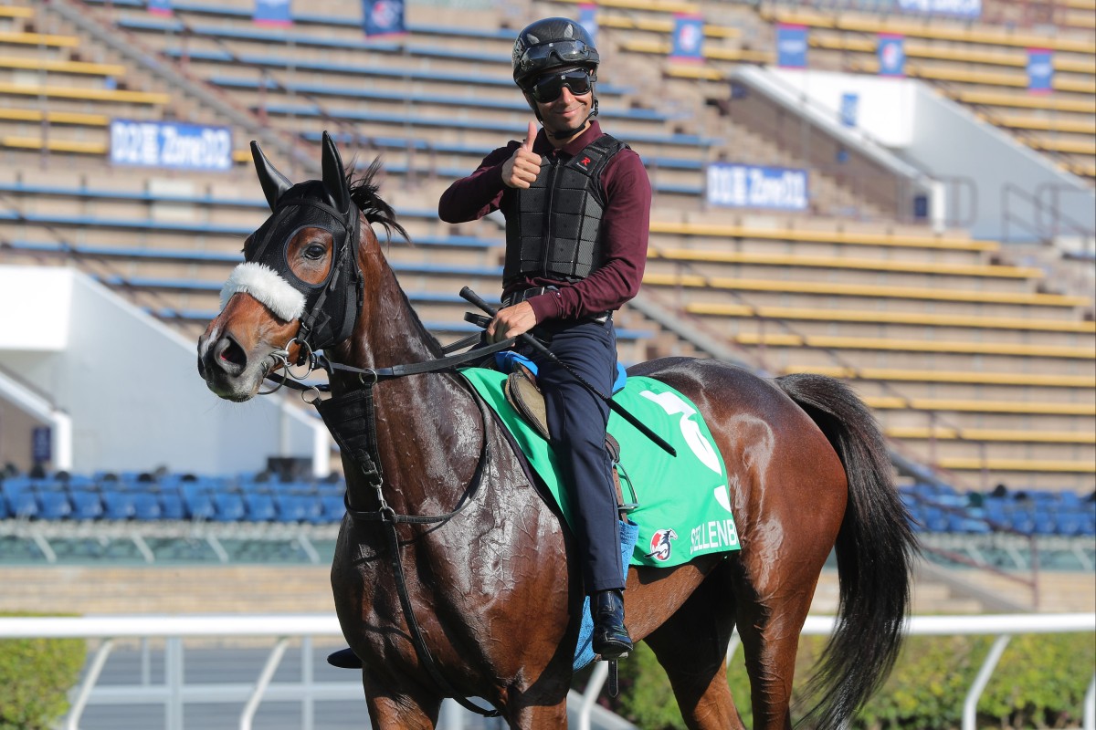 Joao Moreira partners Stellenbosch in Sunday’s Group One Osaka Hai (2,000m). Photos: Kenneth Chan