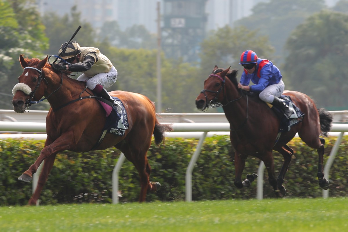 Dubai Honour (right) runs second to Giavellotto in December’s Group One Hong Kong Vase (2,400m). Photo: Kenneth Chan