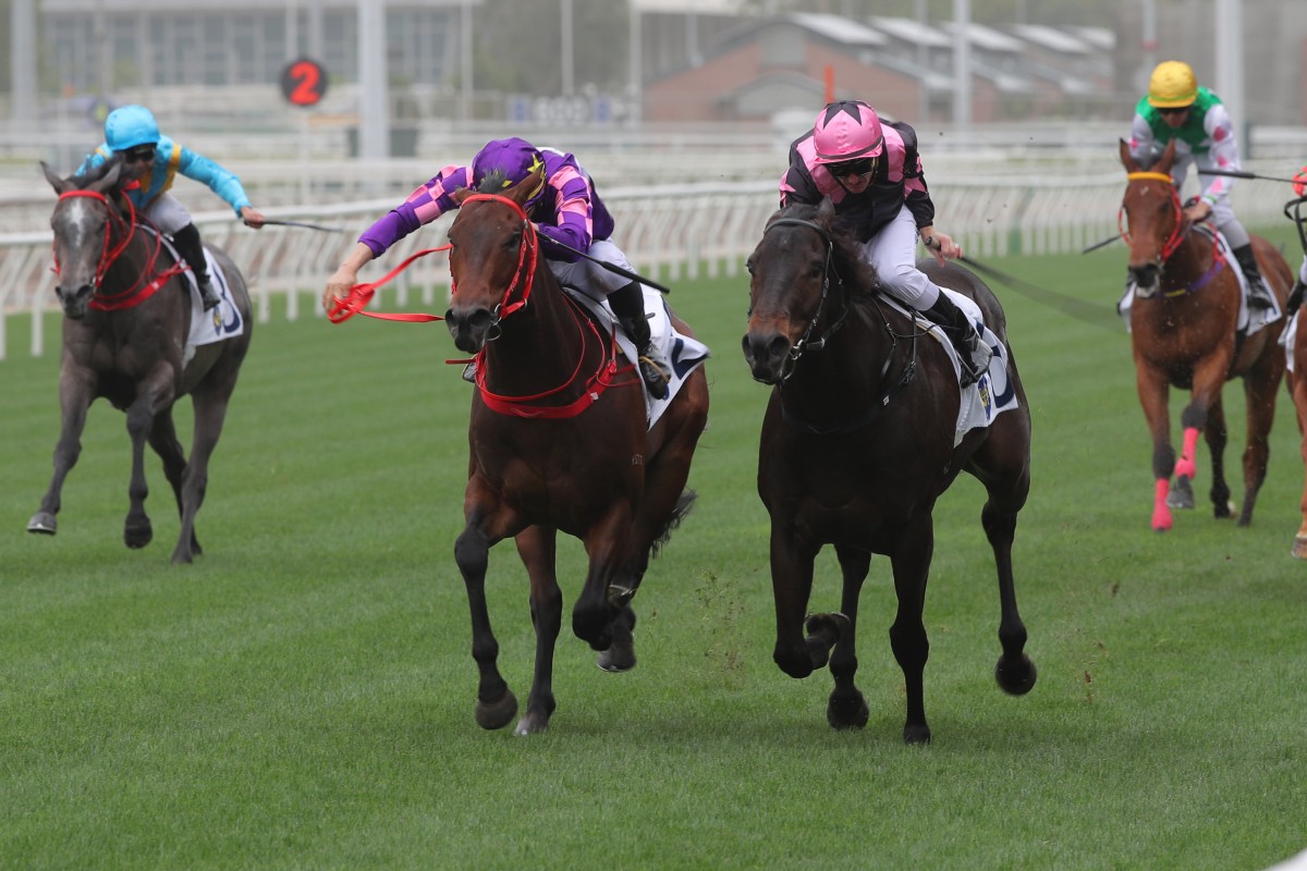 The All Out (right) hangs on to beat Quick Money in the first Griffin race of the season. Photos: Kenneth Chan