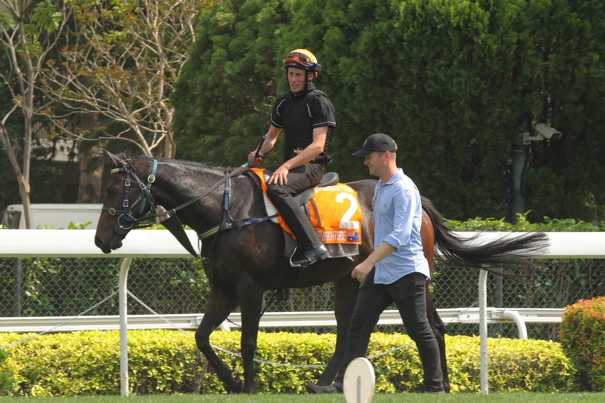 Trainer Ben Hayes looks over Mr Brightside at Sha Tin trackwork. Photos: Kenneth Chan
