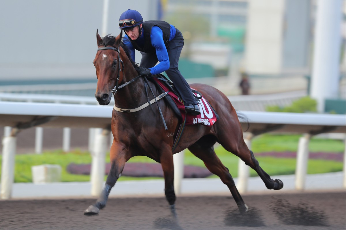 Zac Purton puts Ka Ying Rising through his paces in a dirt gallop earlier this week. Photos: Kenneth Chan
