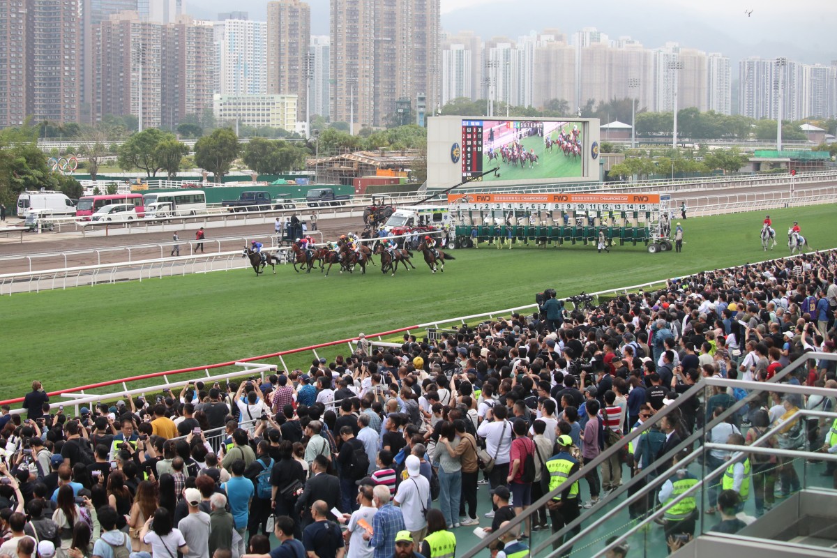 Punters cheer the start of the Group One QE II Cup (2,000m) at Sha Tin on Sunday. Photos: Kenneth Chan