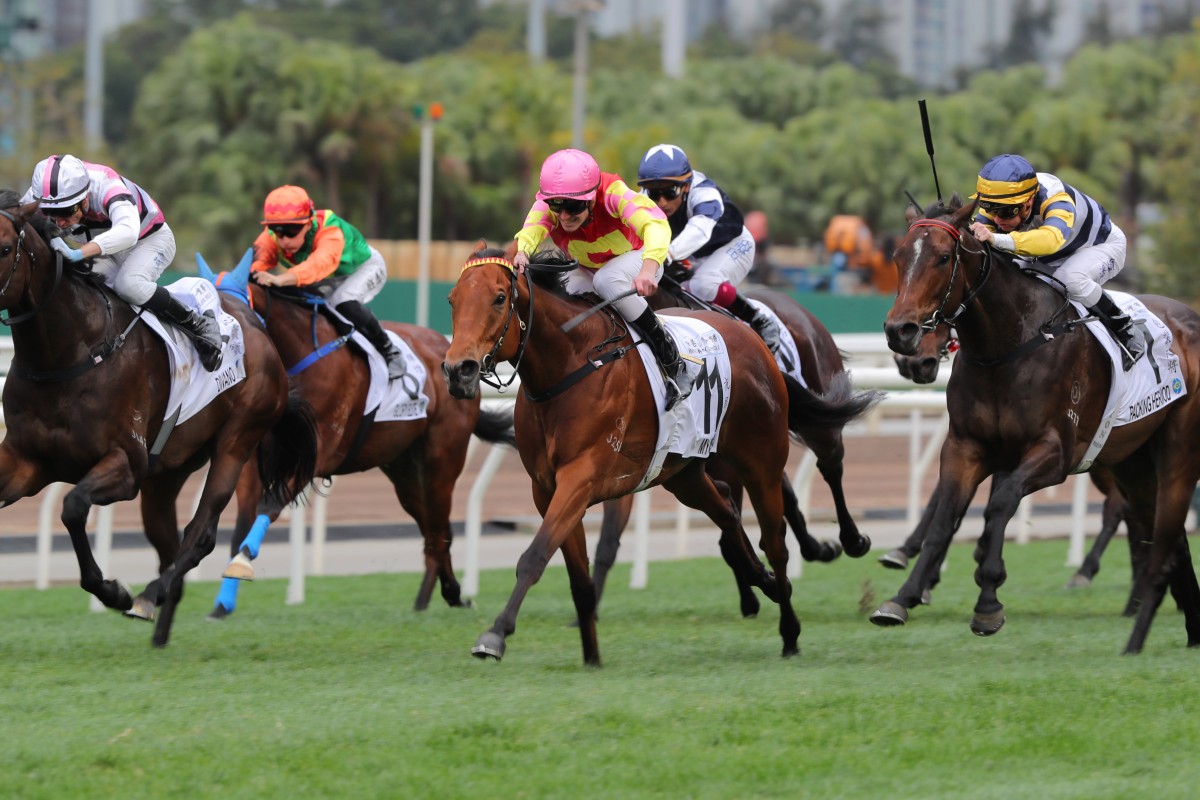 Mark Newnham is ready for an exciting next campaign with My Wish (pink cap). Photos: Kenneth Chan
