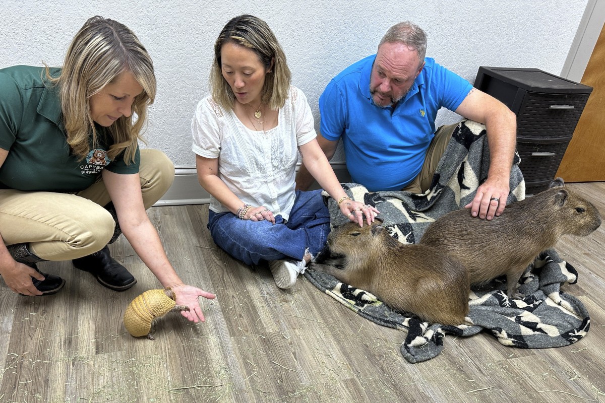 Stephanie Angel (left,) shows off an armadillo to visitors at The Capybara Cafe in St Augustine in Florida, United States. Photo: AP