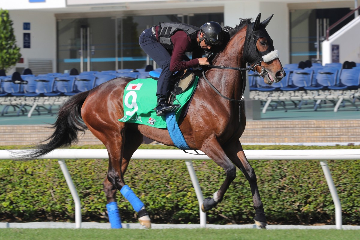 Stellenbosch works under Joao Moreira at Sha Tin in December. Photos: Kenneth Chan