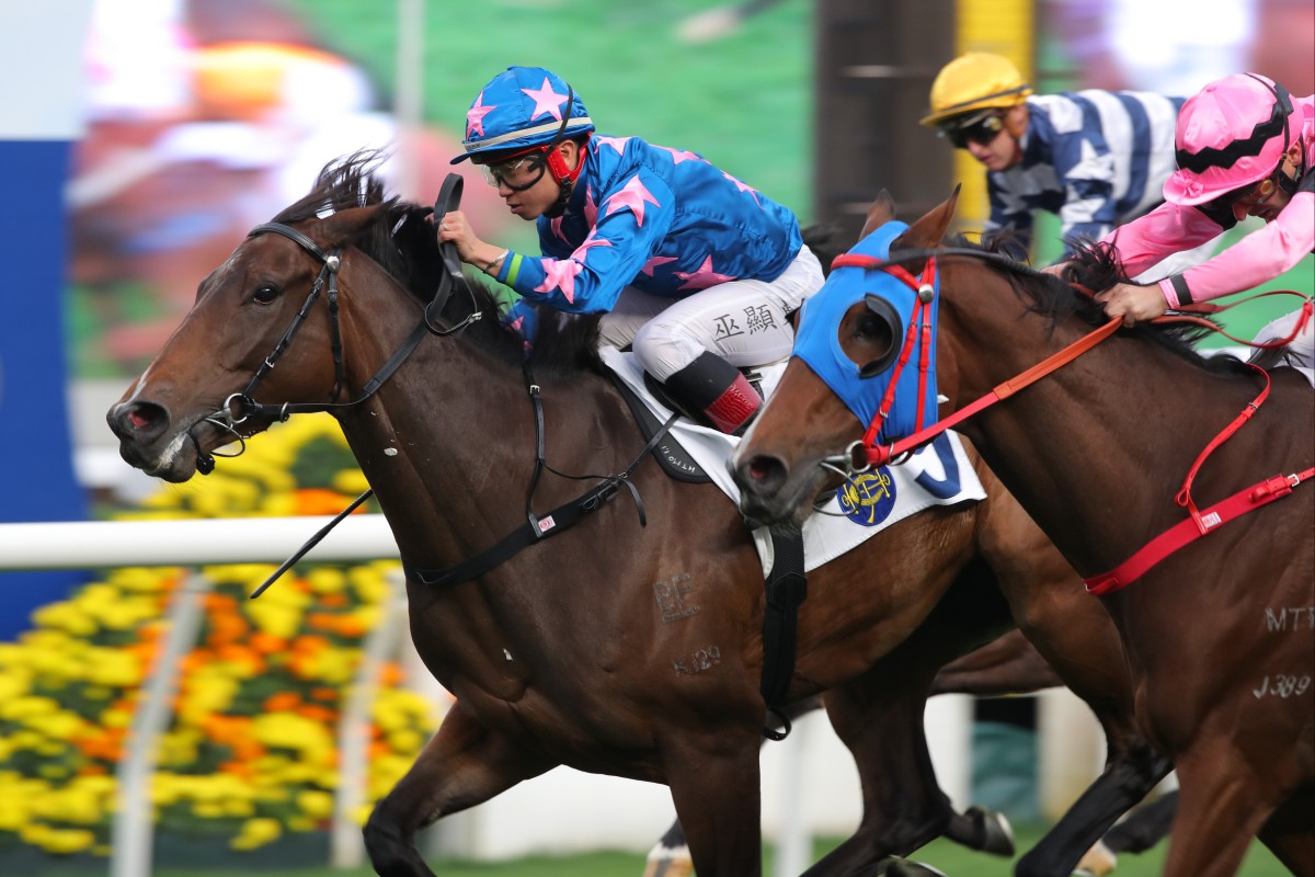 Dylan Mo guides Winning Wing to victory. Photos: Kenneth Chan