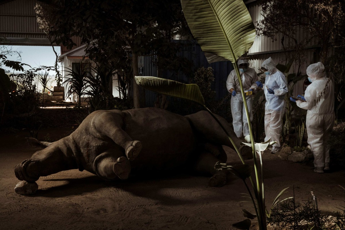 South Africa’s Wildlife Forensic Academy has trained more than 500 people. Photo: AFP