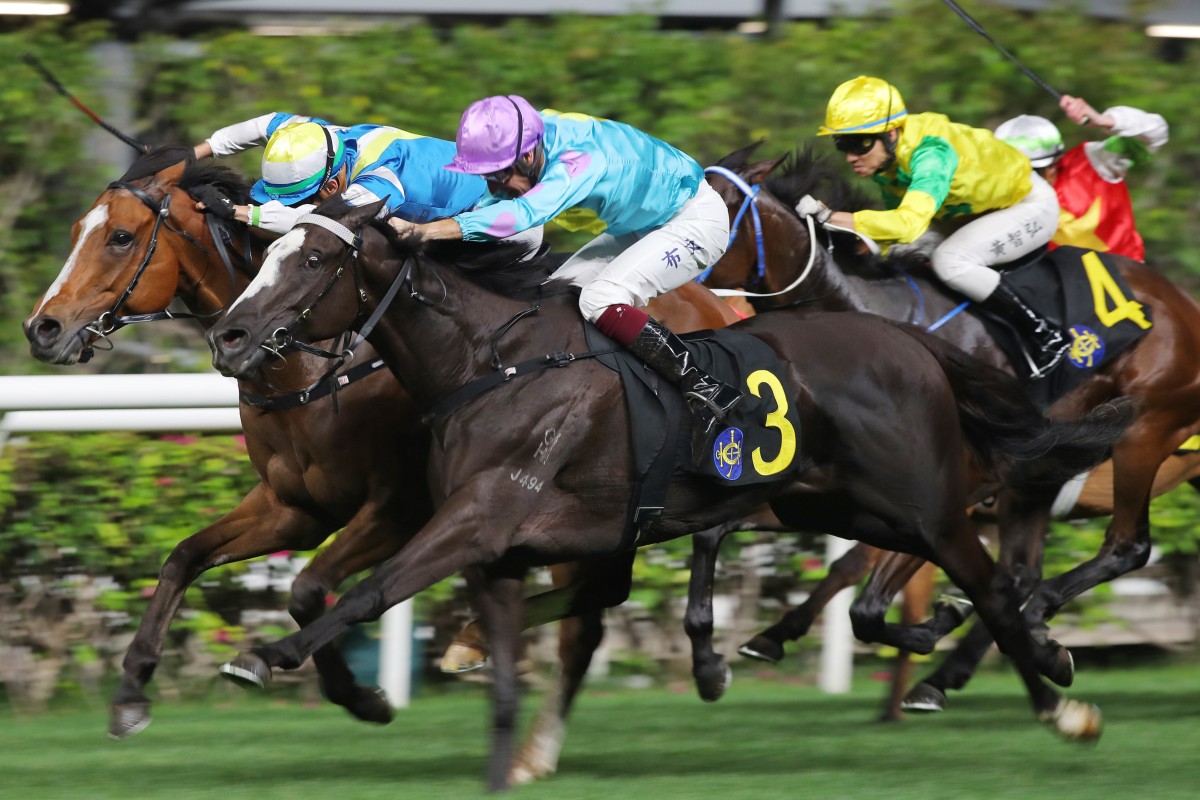 Casa Rochester gets up late at Happy Valley for Mark Newnham. Photos: Kenneth Chan