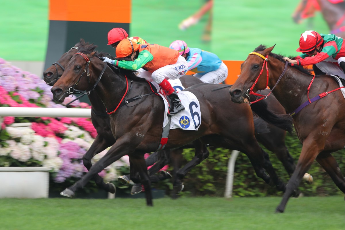 Invincible Shield wins on Champions Day at Sha Tin when ridden by Craig Williams. Photos: Kenneth Chan