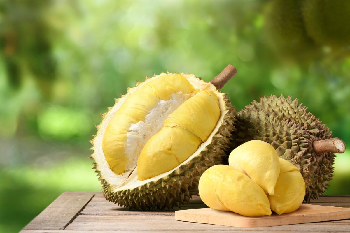 China consumes most of the world’s durian annually, importing it from Southeast Asia. Photo: Shutterstock