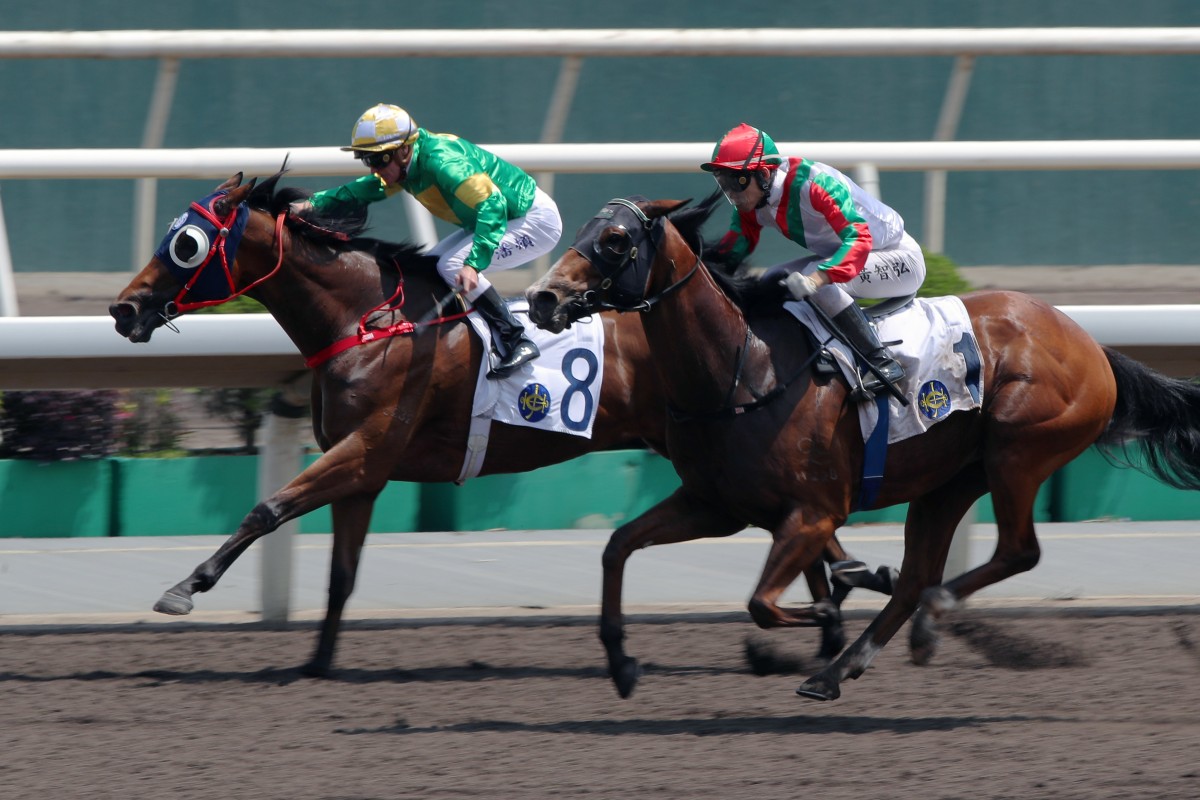 Ellis Wong lifts Solid Shalaa (outside) to a narrow victory last start. Photos: Kenneth Chan