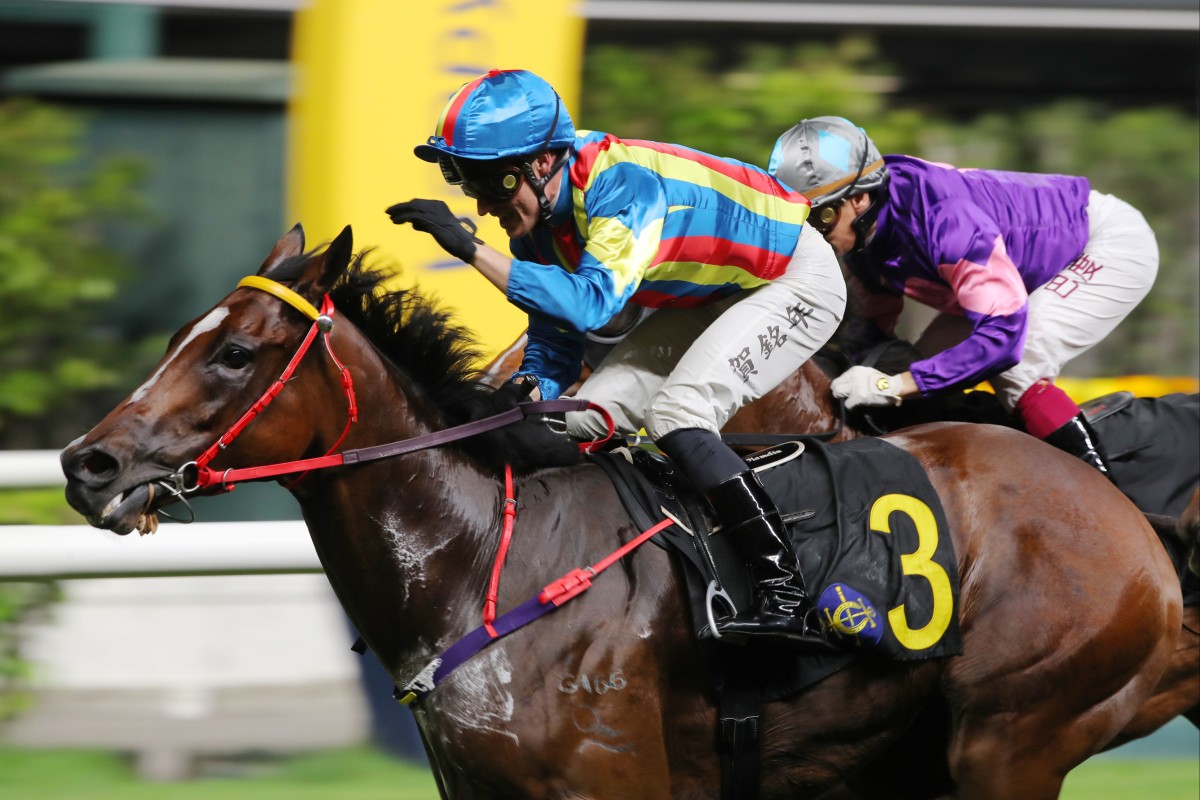 Antoine Hamelin gives Happy Fat Cat a pat after their win last month. Photos: Kenneth Chan