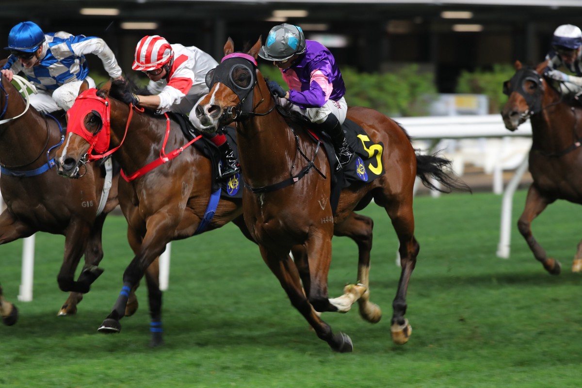 Spicy Gold (purple colours) gets up close to home at Happy Valley in March. Photos: Kenneth Chan