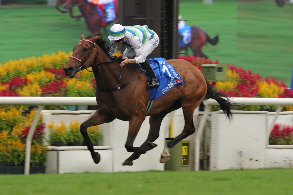 Voyage Bubble wins Sunday’s Group One Champions & Chater Cup (2,400m). Photo: Kenneth Chan