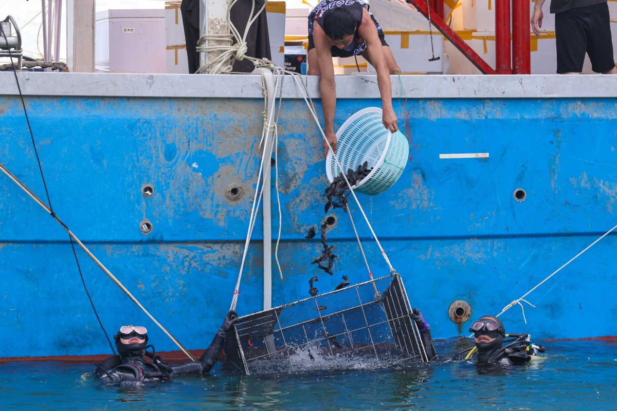Hong Kong authorities have released 83,500 juvenile fish into waters near the airport. Photo: Nora Tam