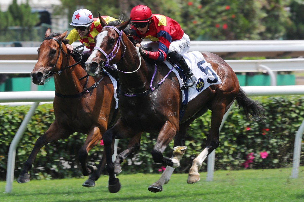 Hong Lok Golf delivers at Class Two level on May 4. Photo: Kenneth Chan