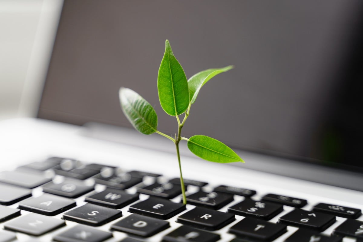 What green ideas can you create? Photo: Shutterstock