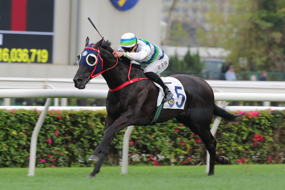 Derek Leung and Voyage Samurai in splendid isolation at Sha Tin. Photos: Kenneth Chan