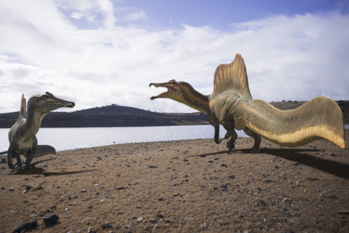 In the new ‘Walking with Dinosaurs’ revival, dinosaurs are given personalities and names. Here, Sobek the Spinosaurus (right) takes on a rival. Photo: BBC