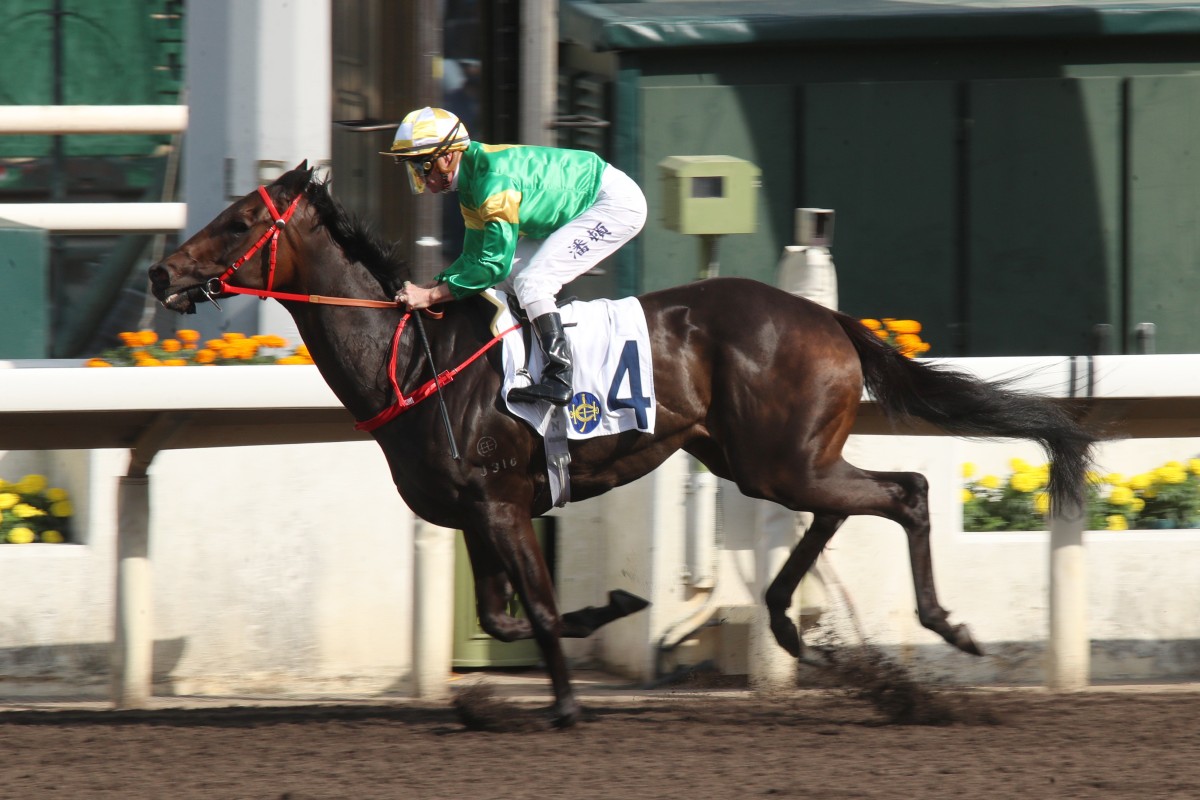 Bottomuptogether wins under Zac Purton at Sha Tin in April. Photo: Kenneth Chan