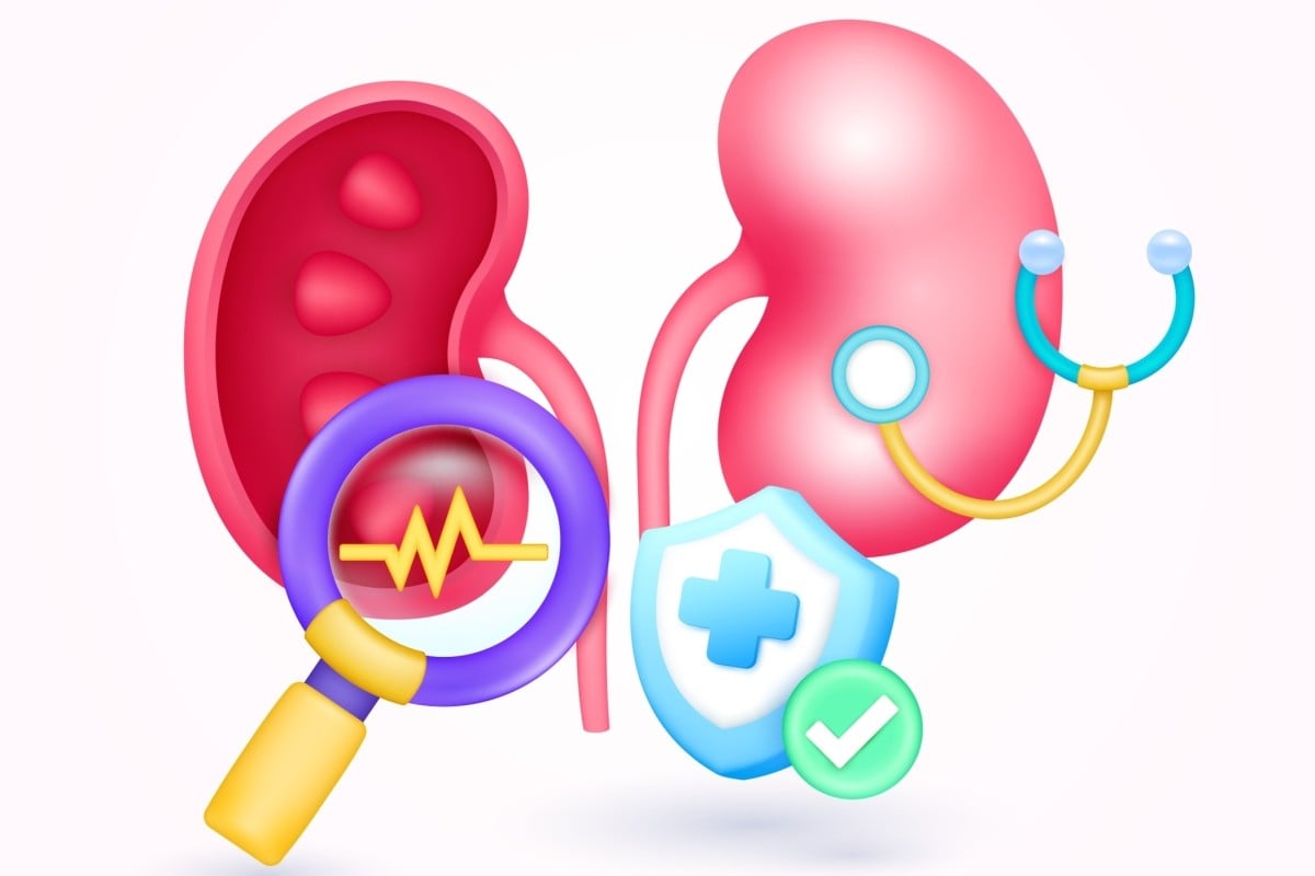 Discover the vital role of kidneys in balancing blood pressure and electrolytes, with urine revealing key health insights. Photo: Shutterstock