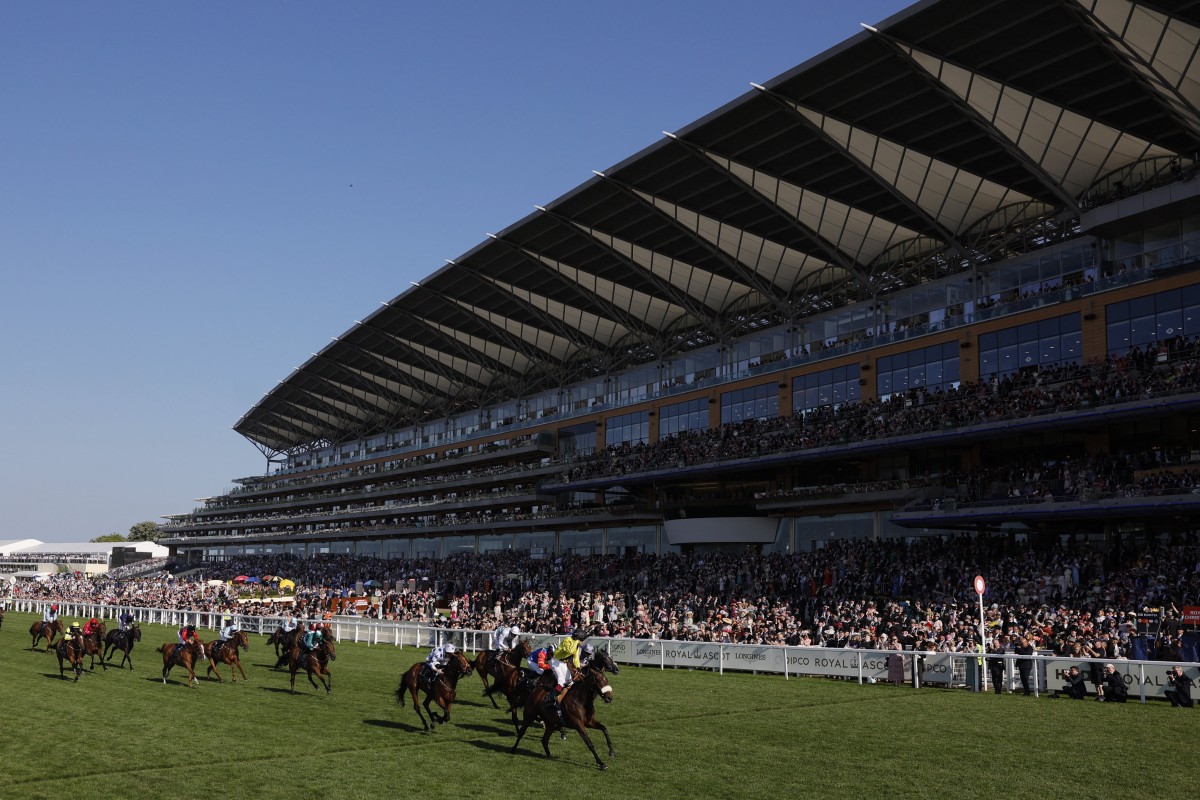 Royal Ascot is one of the biggest simulcast weeks of the year for the Hong Kong Jockey Club. Photos: Reuters