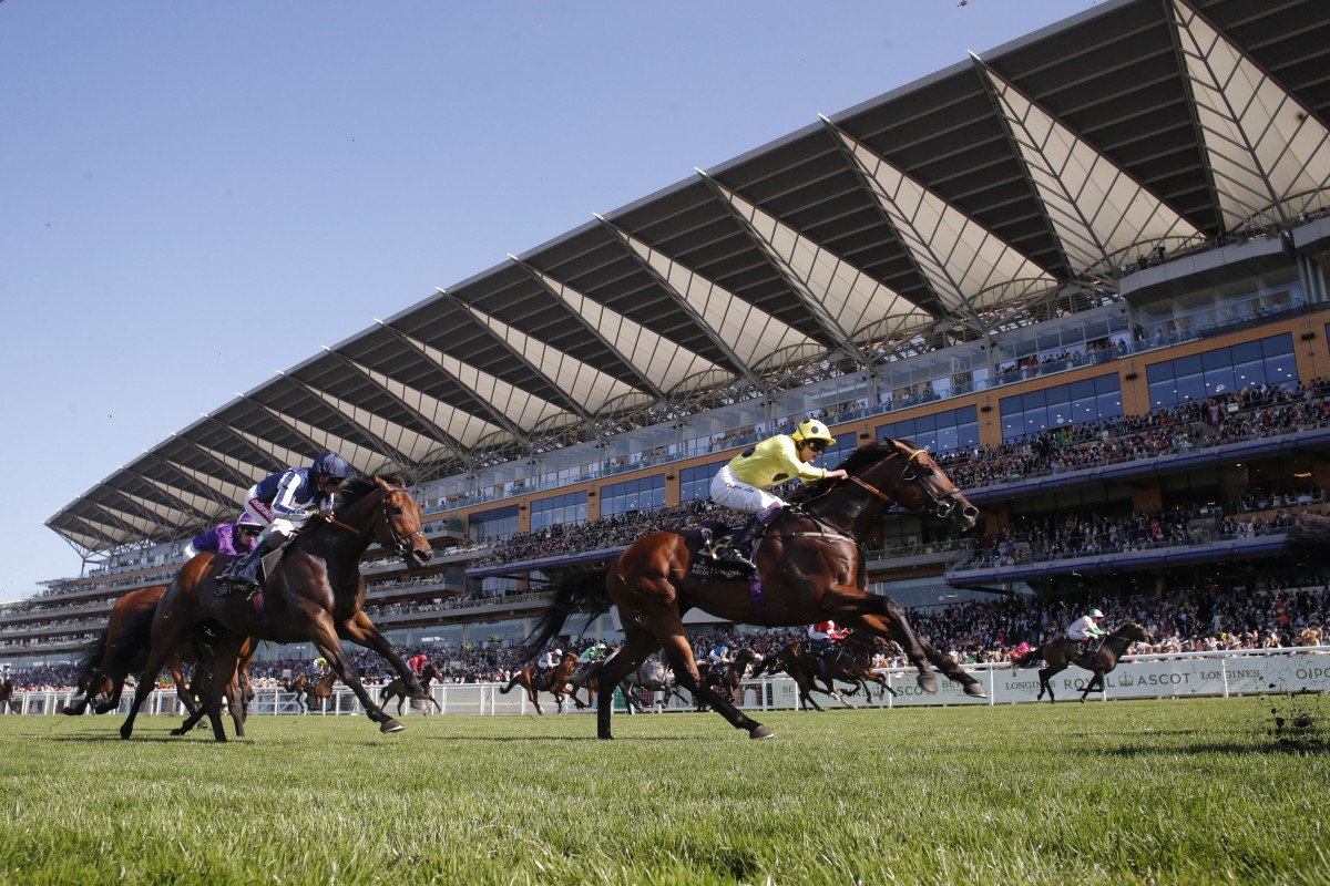 Royal Ascot reaches day four on Friday evening. Photo: Reuters