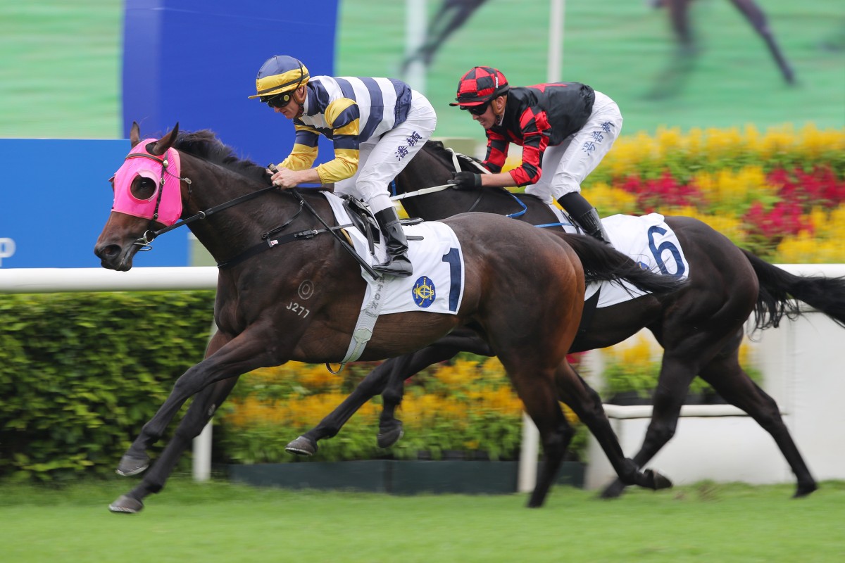 Packing Hermod salutes under Zac Purton last month. Photo: Kenneth Chan