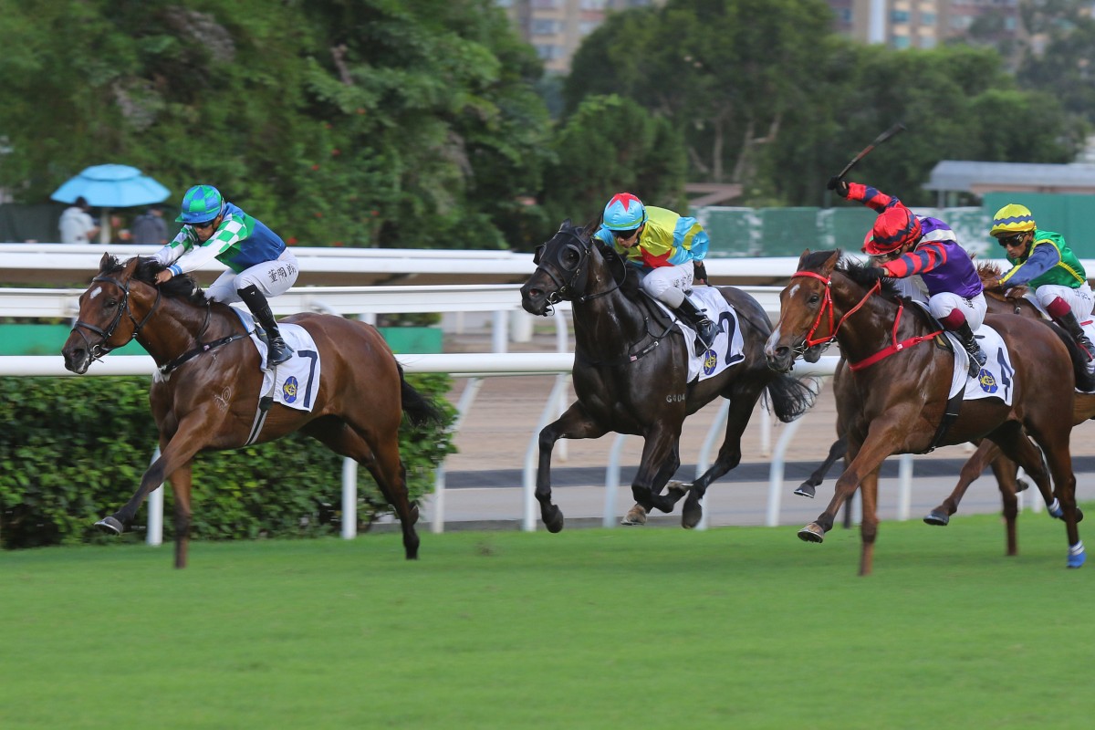 Copartner Prance (left) and Keagan de Melo hold on for victory. Photos: Kenneth Chan