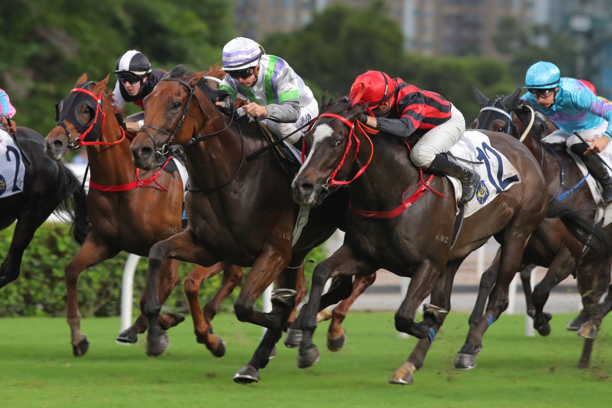 Light Years Charm (white and purple cap) fends off Mickley (red and black) in a tight finish at Sha Tin. Photos: Kenneth Chan