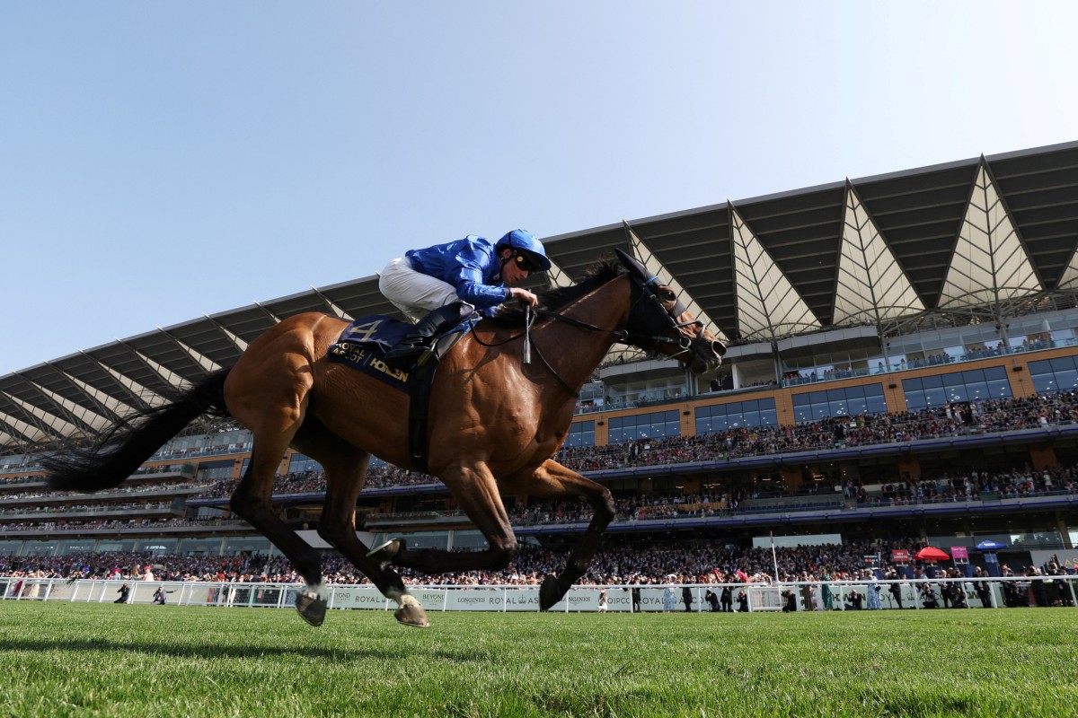 Ombudsman headlines the Jockey Club’s simulcast offering on Saturday. Photo: Reuters