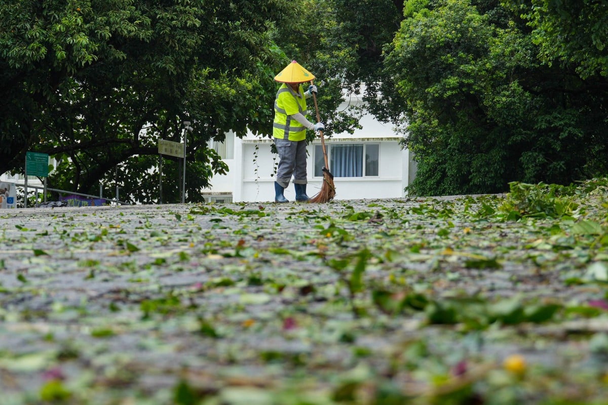 A street cleaner clears fallen leaves and tree bark after Typhoon Wipha, the first severe tropical storm to hit Hong Kong this year. Photo: May Tse