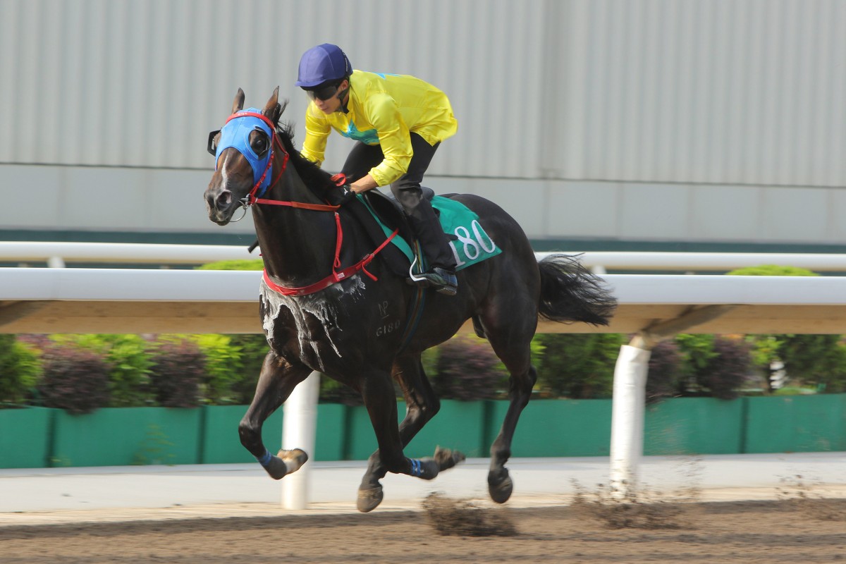 Derek Leung guides Lucky Sweynesse to victory in a trial in July. Photos: Kenneth Chan
