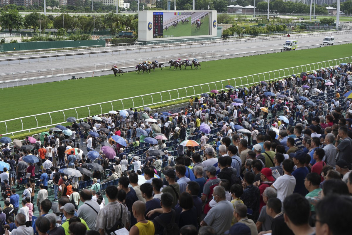 A bumper crowd is expected to converge on Sha Tin this Sunday. Photos: Kenneth Chan