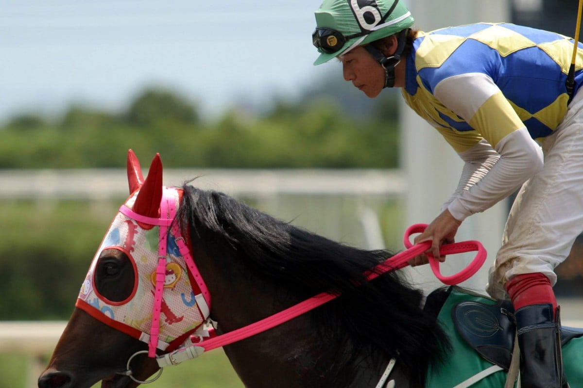 Japanese racehorse Haru-urara was considered a national star. Photo: Reuters