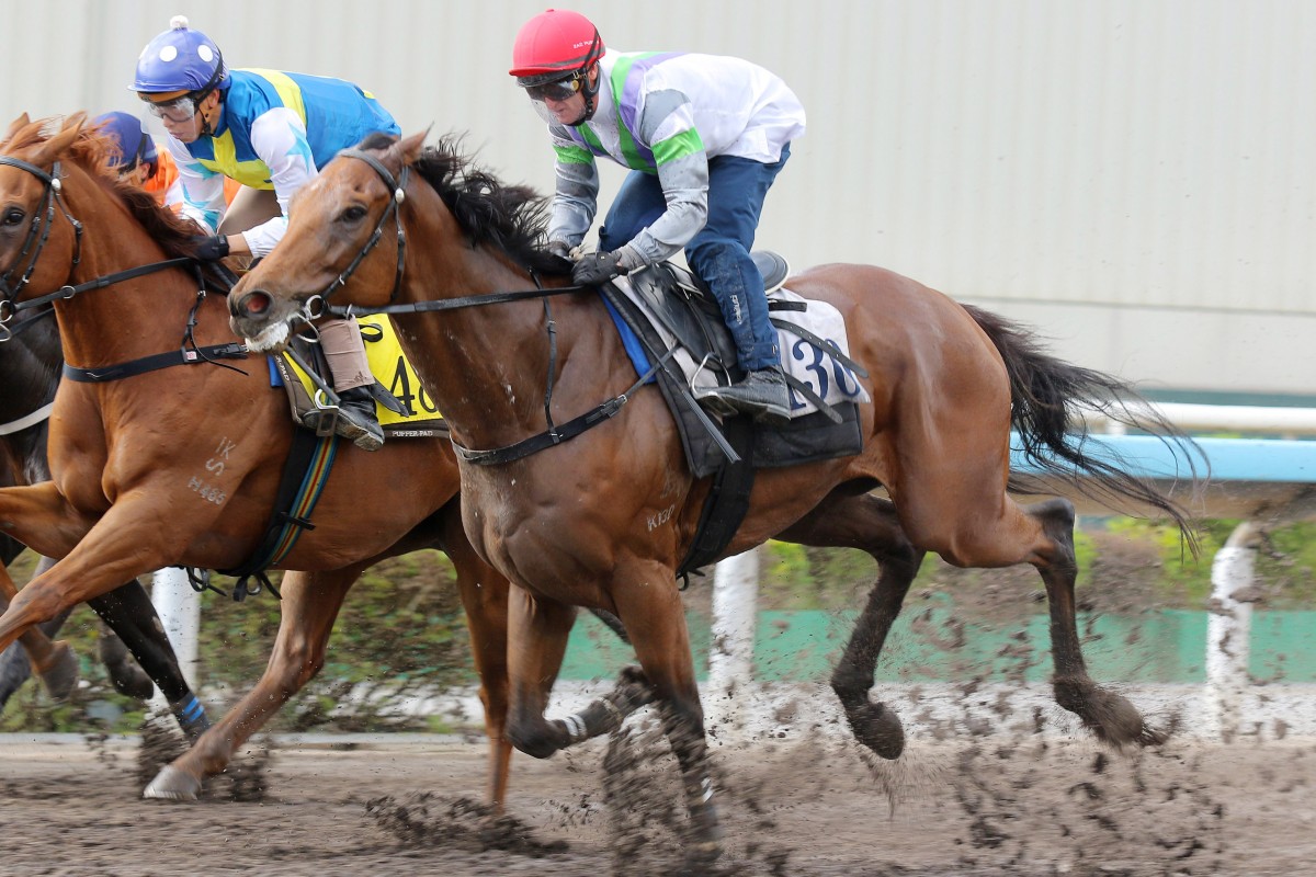 Light Years Charm (right) wins his trial at Sha Tin on Tuesday morning. Photos: Kenneth Chan