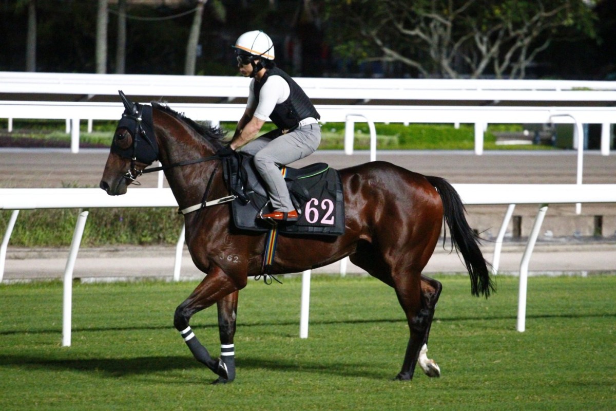 Ka Ying Rising gallops on the Sha Tin turf ahead of his trip to Australia. Photos: Kenneth Chan