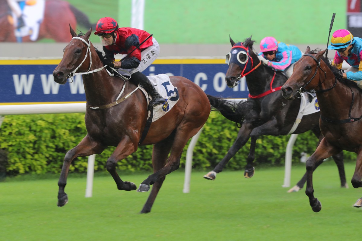 The Golden Scenery wins last year’s Group Three Celebration Cup (1,400m). Photos: Kenneth Chan