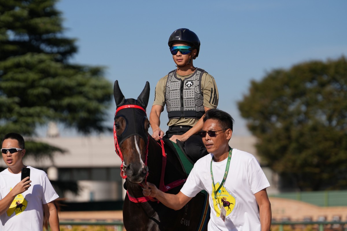Derek Leung aboard Lucky Sweynesse at Nakayama trackwork. Photos: HKJC