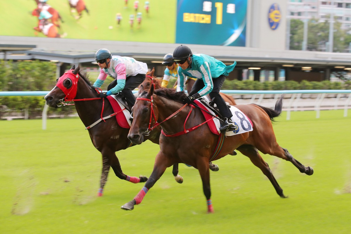 Romantic Warrior (outside) trials at Happy Valley on Saturday morning. Photos: Kenneth Chan