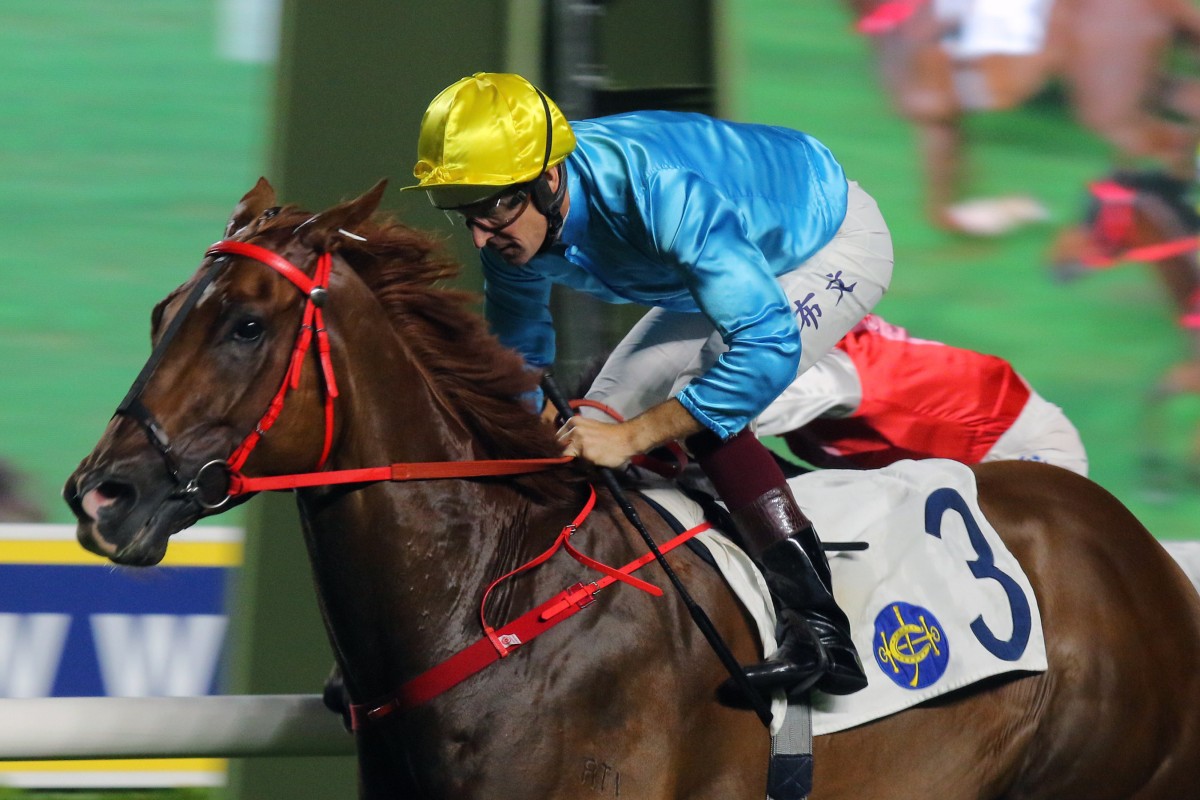 Wunderbar salutes under Hugh Bowman at Sha Tin in June. Photo: Kenneth Chan