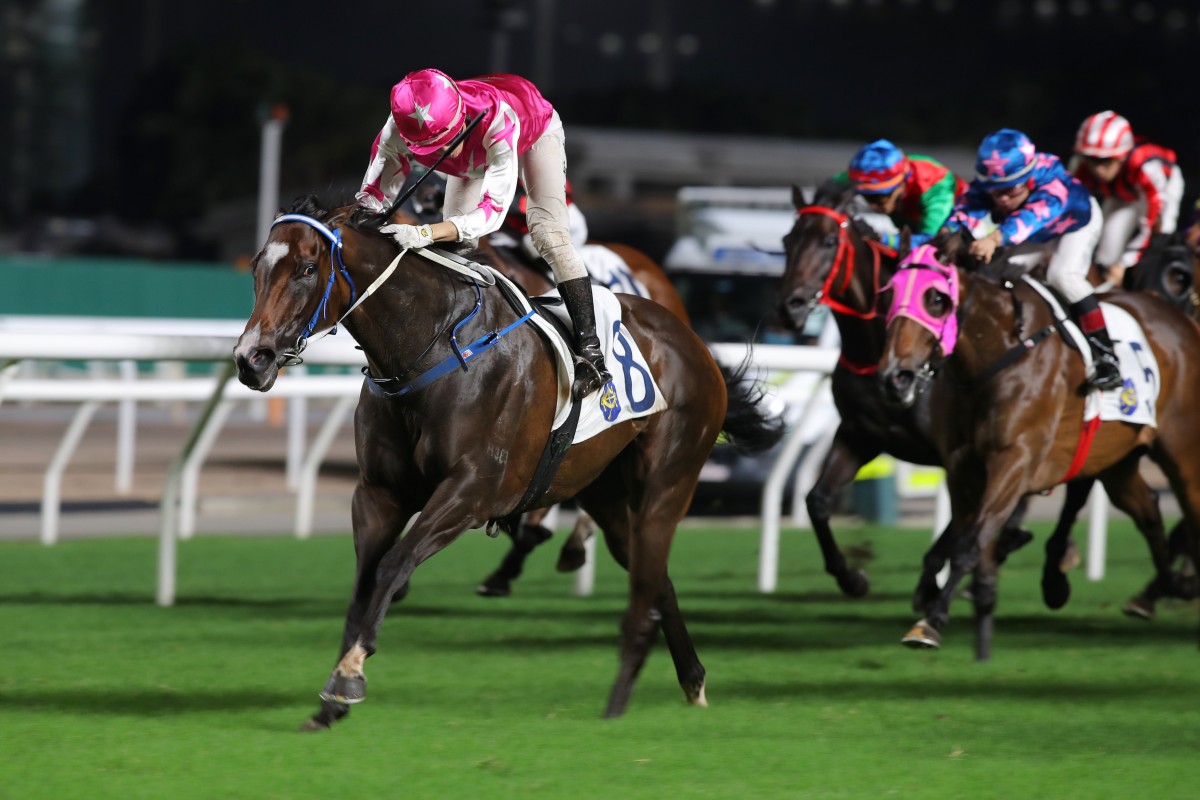 Joy Of Spring has top claims in the final race at Sha Tin on Saturday. Photos: Kenneth Chan